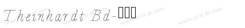 Theinhardt Bd字体转换